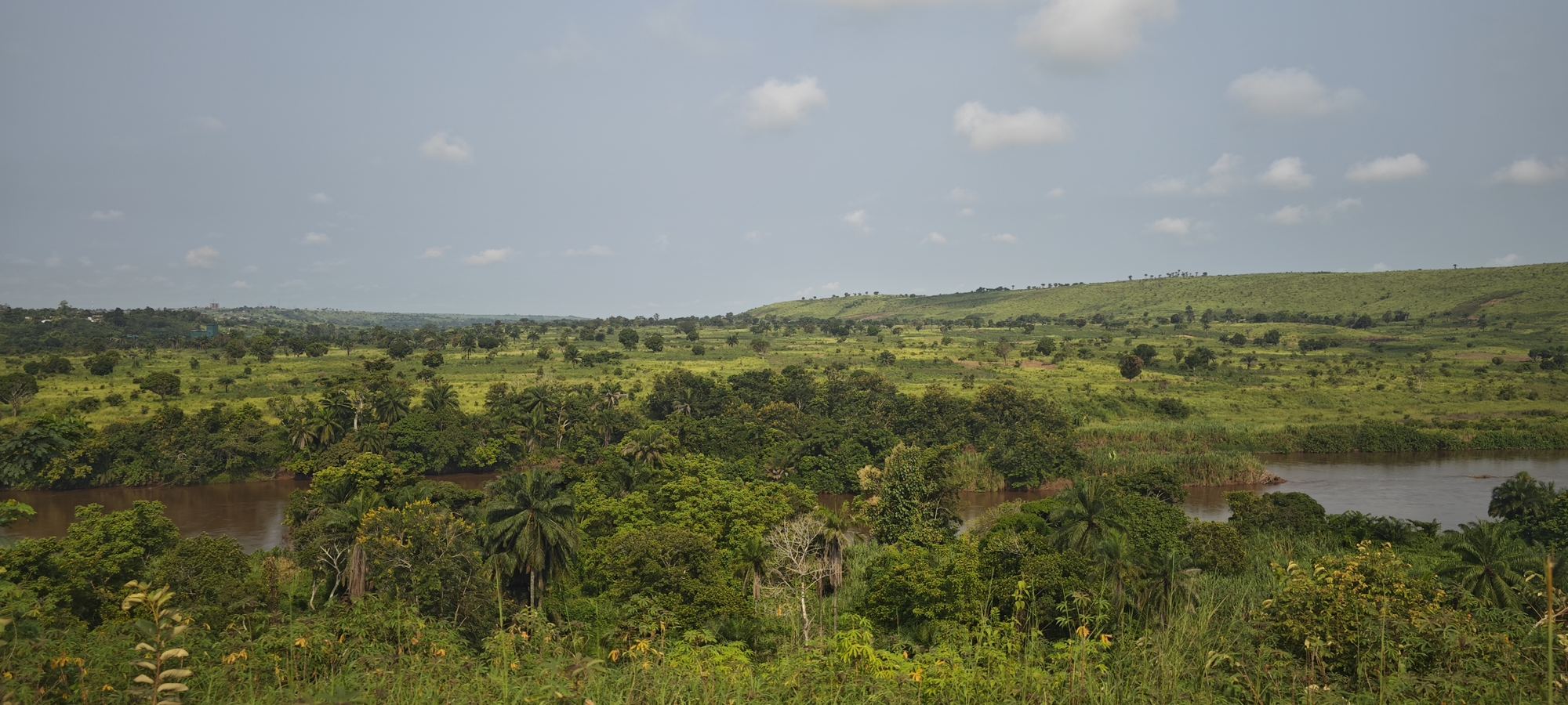 Sentier dans une parcelle Yelessa au Congo