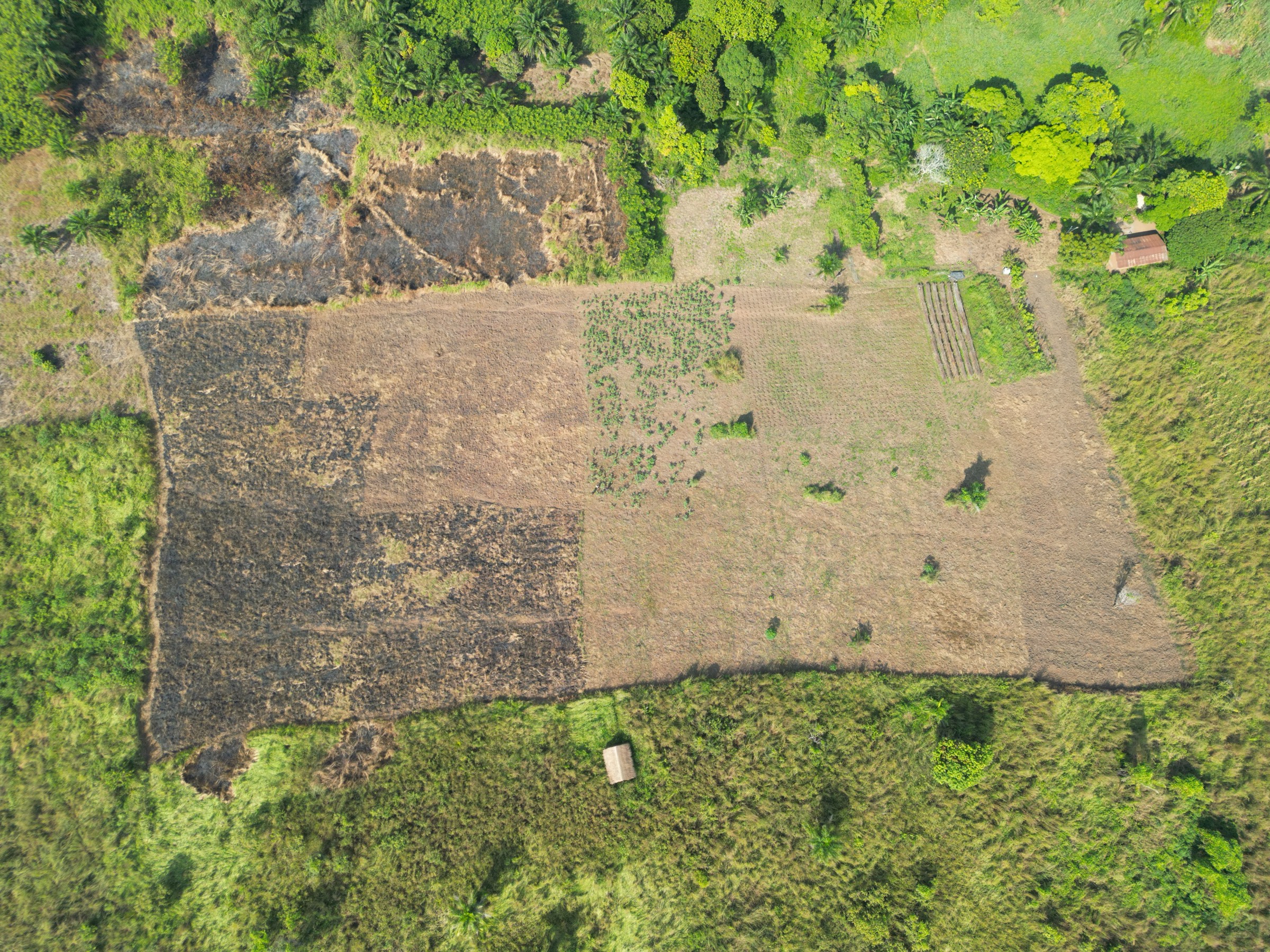 Paysage agricole du Congo-Brazzaville